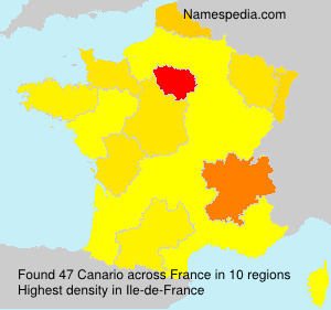 Canario Canario