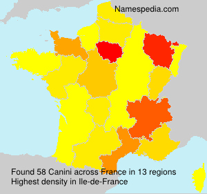 Surname Canini in France