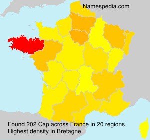 Surname Cap in France Surname Cap in France