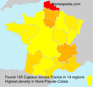 Surname Capiaux in France Surname Capiaux in France
