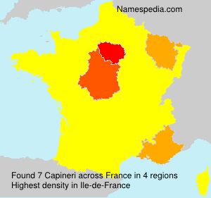 Surname Capineri in France