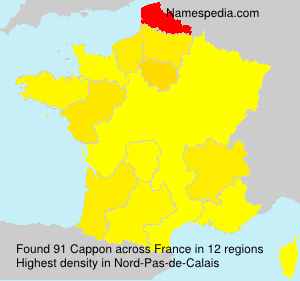 Surname Cappon in France Surname Cappon in France