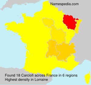 Surname Carciofi in France