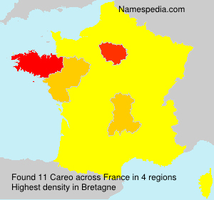 Surname Careo in France