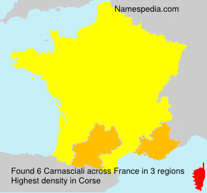 Surname Carnasciali in France