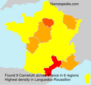 Surname Carnelutti in France Surname Carnelutti in France