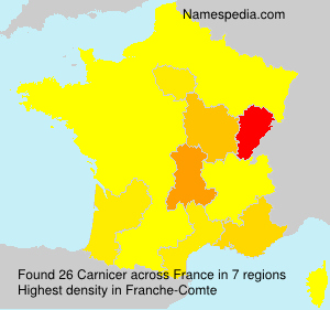 Surname Carnicer in France Surname Carnicer in France