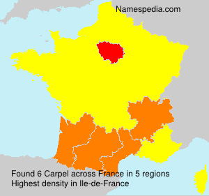 Carpel Carpel