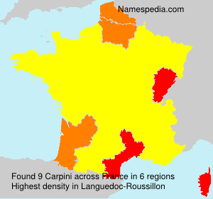 Carpini Carpini