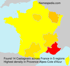 Surname Castagnaro in France Surname Castagnaro in France