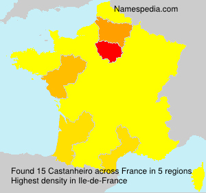 Surname Castanheiro in France Surname Castanheiro in France