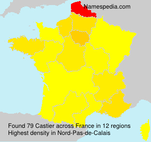 Surname Castier in France Surname Castier in France