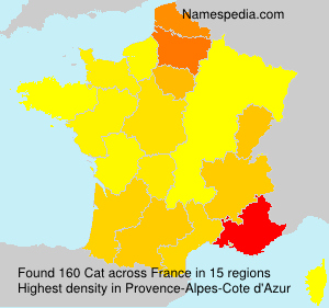 Surname Cat in France Surname Cat in France