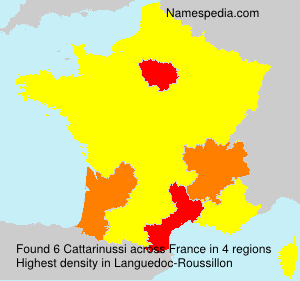 Surname Cattarinussi in France