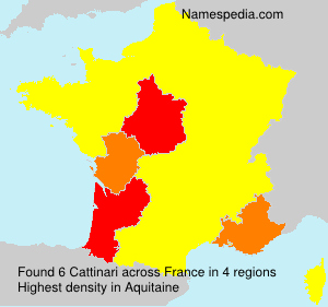 Surname Cattinari in France Surname Cattinari in France