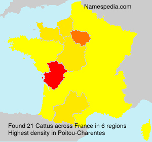 Surname Cattus in France Surname Cattus in France