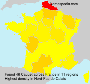 Surname Cauuet in France