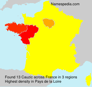 Surname Cauzic in France Surname Cauzic in France
