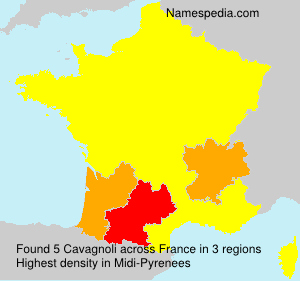 Surname Cavagnoli in France Surname Cavagnoli in France
