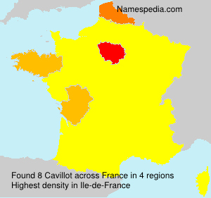 Surname Cavillot in France Surname Cavillot in France