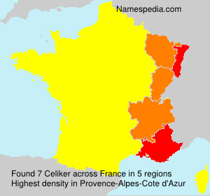 Surname Celiker in France