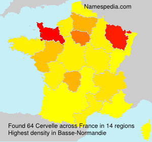 Cervelle Cervelle