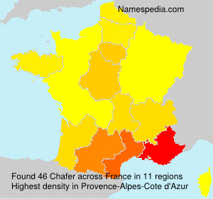 Chafer Chafer
