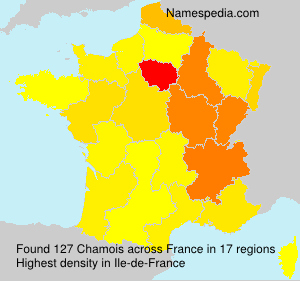 Chamois Chamois