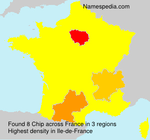 Chip Chip