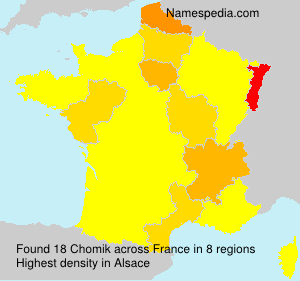 Chomik Chomik