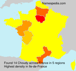 Surname Choudy in France Surname Choudy in France