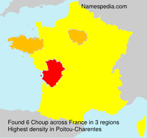 Surname Choup in France Surname Choup in France