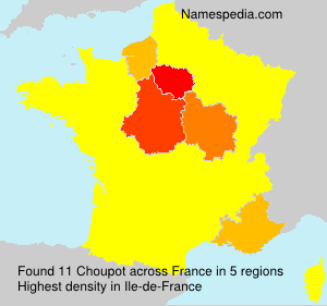 Surname Choupot in France Surname Choupot in France