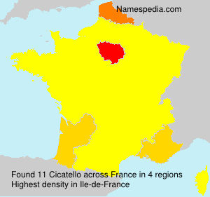 Surname Cicatello in France Surname Cicatello in France
