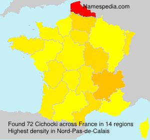 Surname Cichocki in France Surname Cichocki in France
