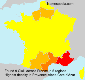 Surname Ciulli in France Surname Ciulli in France