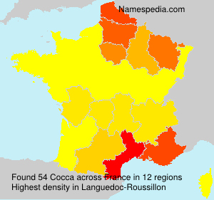 Cocca Cocca