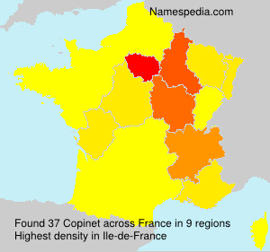 Surname Copinet in France Surname Copinet in France
