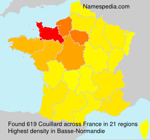 Surname Couillard in France Surname Couillard in France