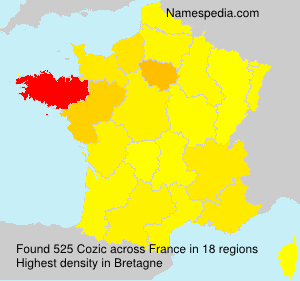 Surname Cozic in France Surname Cozic in France