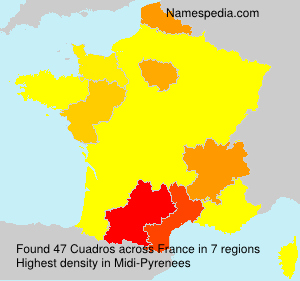Surname Cuadros in France Surname Cuadros in France