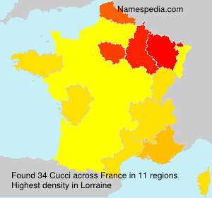 Cucci Cucci