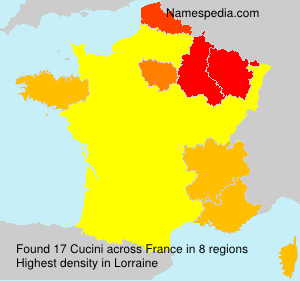 Cucini Cucini