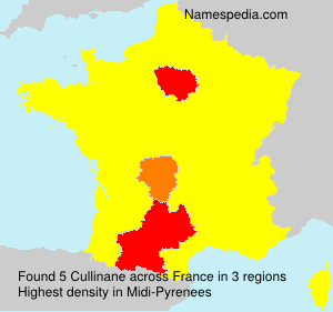 Surname Cullinane in France Surname Cullinane in France