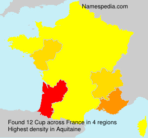 Surname Cup in France