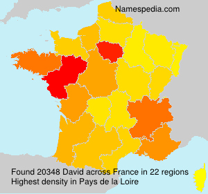 Surname David in France