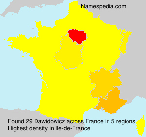 Surname Dawidowicz in France Surname Dawidowicz in France