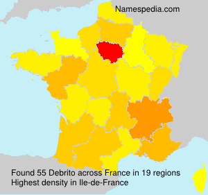 Surname Debrito in France Surname Debrito in France