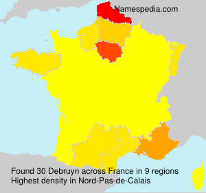 Surname Debruyn in France Surname Debruyn in France