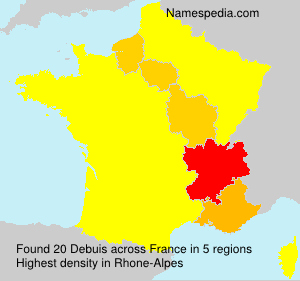 Surname Debuis in France Surname Debuis in France